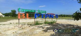 Erick Tohir Harus Tahu, PTPN 5 Bohongi Masyarakat