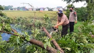 Personel Polresta Cirebon Sigap Tangani Bencana Alam