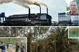 Buah Sawit Ilegal dari Kebun Sawit Non Prosedural di Desa Batu Gajah Masuk ke PKS PTPN 5 Sungai Galuh
