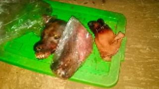 Rumah Pendakwah Kontroversial Habib Bahar Diteror 3 Kepala Anjing