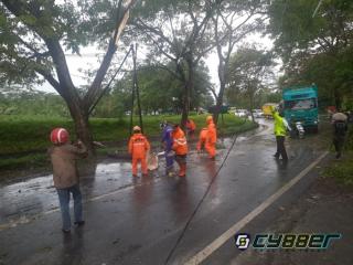 Sigap! Personel Polres Banjar Bersama BPBD Evakuasi Pohon Tumbang di Perbatasan Jabar-Jateng