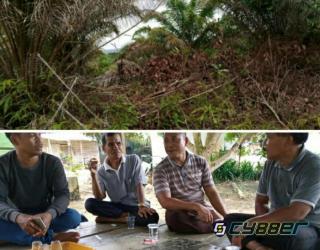 Disinyalir Lahan Kebun Koptan Agung Putra Jaya Pelalawan Digelapkan Oknum Perangkat Desa