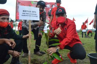 Kader PDI Perjuangan Kabupaten Cilacap Beri Kado Ulang Tahun ke-75 Dengan Melaksanakan Reboisasi Untuk Hj Prof Megawati Soukarno Putri