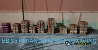 1.000 Ekor Burung Tanpa Dokumen Diamankan Sat Reskrim Pokres Lamsel