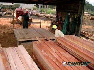 Diduga Dibeking Aparat, Puluhan Sawmil Ilegal Berasal Dari Hutan Non Prosedural Beredar di Pangkalan Kerinci, Pelalawan Riau