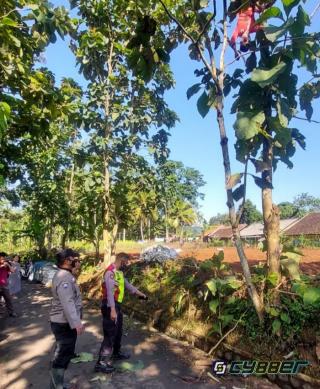 Seorang Petani Tewas Tersengat Listrik di Sumedang