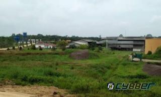 PT. Tasma Puja Puluhan Tahun Garap Kawasan HPK, Afrodian Lutoifi SH MH: Nanti Akan Kita Tindak Lanjuti