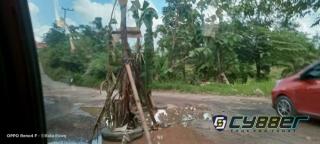 Akibat Jalan Arus Lalu Lintas Rusak Parah Warga Sumber Gedang Menanam Sebuah Pohon Pisang
