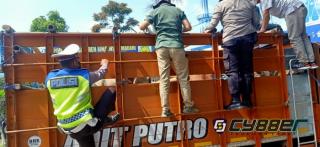 Polisi Cegat Dua Truk Pengirim Belasan Ekor Sapi yang Tak Dilengkapi Surat Kesehatan