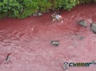 Sungai Cimeta Berwarna Merah Darah, Masyarakat KBB Geger