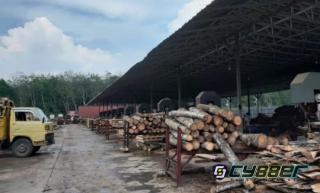 Tak Hanya Gunakan BBM Bersubsidi, di Sawmill Tubaba Diduga Terjadi Tindakan Sewenang-Wenang