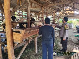 Antisipasi Merebaknya PMK, Polisi Lakukan Patroli Edukasi