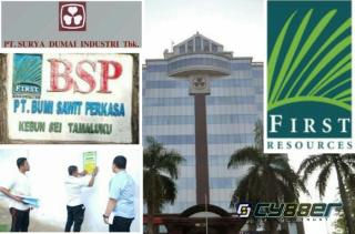 PT Bumi Sawit Perkasa, Salah Satu Anak Perusahaan Sawit Ilegal PT SDG Disegel