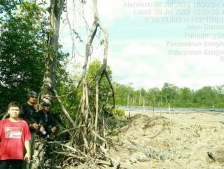 Hutan Mangrove Tua Tetap Dirambah, Pegiat Lingkungan dan LSM DPD GEMPUR Sebut Program KLHK Hanya Seremonial dan Pencitraan