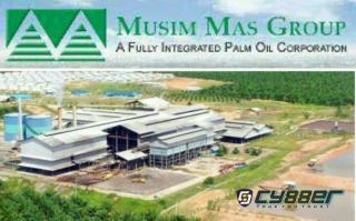 Malinton H. Purba Manager Humas PT. Musim Mas: Perusahaan Mengelola Kelapa Sawit Dengan Memperhatikan Lingkungan 
