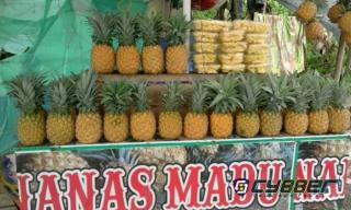 Miris, Nanas Madu Pemalang Terancam Eksistensinya