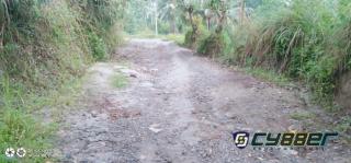 Warga Kecamatan Mancak Keluhkan Jalan Rusak.