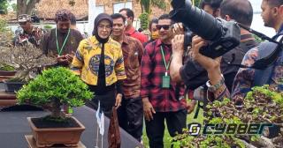 Bunda Ayu Kagum Dengan Bonsai Bernilai Ratusan Juta di Pameran dan Kontes Bonsai Palimanan