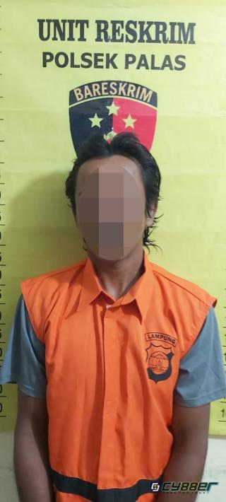 Pulang Ronda Rudapaksa Wanita Dibawah Umur, di Ringkus Polsek Palas