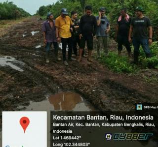 HPT dan HPL di Lahan Gambut dan Hutan Mangrove Diperjual Belikan, Masyarakat Pertanyakan Pengawasan KLHK, APH dan Bupati Bengkalis