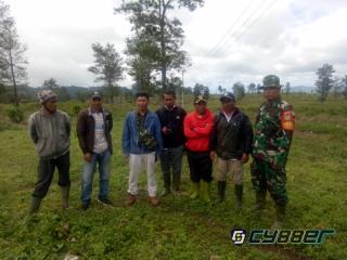 Oknum Pembabat Pohon Teh Terus Beraksi Di Lahan PTPN VIII Cisaruni