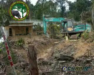 Lagi, 3 Unit Alat Berat Rambah Kawasan TNTN, Kepala Balai Kembali Bungkam