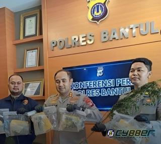 Polres Bantul Berhasil Temukan Lahan Ganja 3 Hektar di Aceh