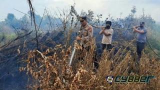 Bekas Lahan Steking Terbakar, Polsek Sei Mandau, MPA dan RPK Lakukan Pemadaman