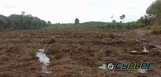 PT Arara Abadi Gusur Lahan Masyarakat Suka Jaya, Masyarakat Siap Lakukan Demo Besar-besaran