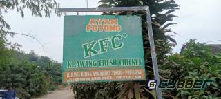 Banyak Warga Keluhkan Aroma Bau Busuk Limbah Ayam Potong di Aliran Persawahan Mereka