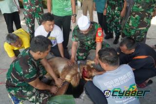 Korem 064/MY Rayakan Idul Adha 1444 H Dan Pemotongan Hewan Qurban