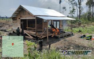 Pondok Perambah Hutan di TNTN Pelalawan Dibakar Petugas