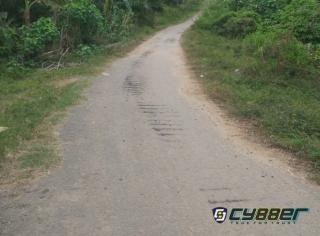 Alat Berat Melintas Jalan Rusak Berat, Warga Kaur Minta APH Bertindak