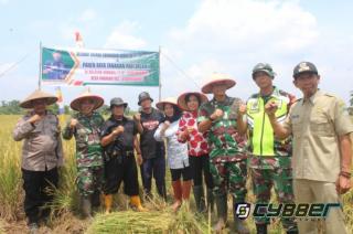 Dandim 0617/,Kab Majalengka,Hadiri Panen Raya Padi Organik Varietas Ciherang, Untuk Dukung Ketahanan Pangan 