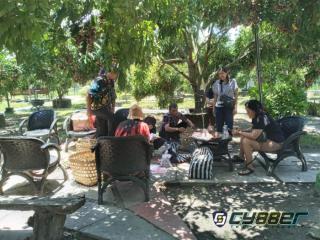 Kades  Ngering, Sulap Lahan Kosong Menjadi Kebon Buah Klengkeng Kwalitas Super