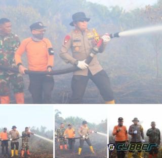 Karhutla Hanguskan Puluhan Ha Gambut di Pelalawan