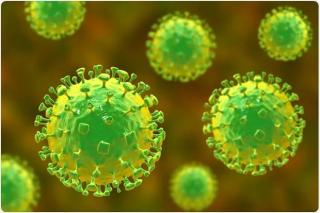 Daftar Virus serta Penyakit Berbahaya yang Mengancam Dunia Selain Covid-19