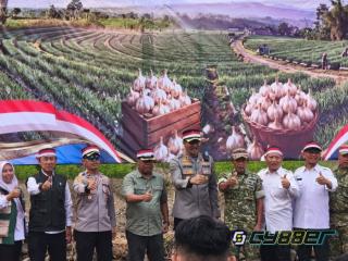 Majalengka Genjot Swasembada Bawang Putih, Demplot Kementan Dibangun di Dua Lokasi