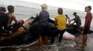 Paus Raksasa Terdampar di Pantai Ciwidig, Warga Ramai Ramai Potong Dagingnya