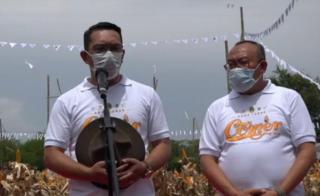 Ridwan Kamil : 5000 Pemuda Kota Akan Jadi Petani Milenia