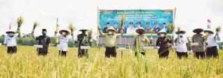 Panen Raya Dalam Lima Program Kampung Tangguh di Sanga Desa