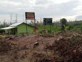 Balai TNTN Ultimatum Warga Tinggalkan Lokasi Kawasan Tesso Nilo