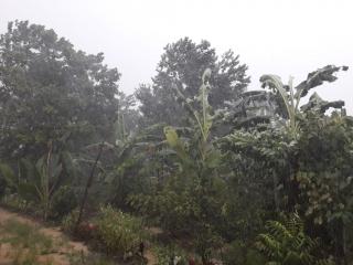 Hujan Deras Disertai Angin Kencang Mengguyur Wilayah Simpang Pematang