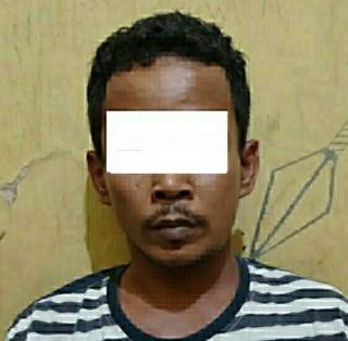 Kepergok Security Curi Getah Karet Kancil Ditangkap, Dua Rekan dan Penadah Kabur