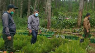 KKPH Sumedang dan Asper Manglayang Timur Pimpin Gerakan Reboisasi Hutan Gunung Manglayang