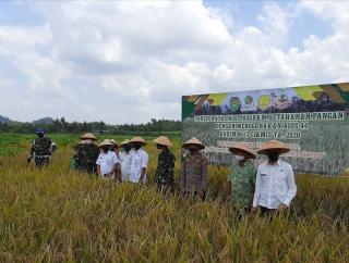 Penanaman Pohon di Bantaran Sungai Ciseel, Kapolsek Banjarsari Polres Ciamis Ingatkan Warga Akan Bahaya Covid-19