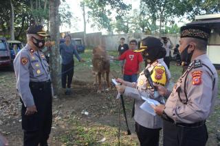 Kapolres Sukabumi Kota Pimpin Pemotongan 27 Ekor Hewan Qurban, Pada Idul Adha 1441 Hijriah