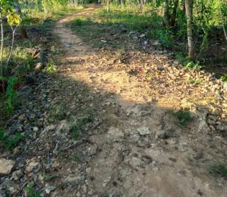 Jalan Penghubung Dua Desa Kecamatan Proppo Rusak