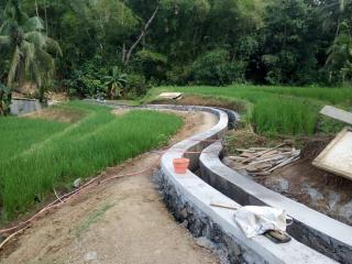 Program P3AI Tirta Mulya Desa Rungkang Gandungmangu Dorong Para Petani Tingkatkan Hasil Tanam