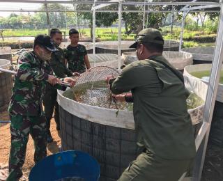 Kelompok Tani Cipta Bina Mandiri Mendapatkan Bantuan Benih Lele Dari Dan Sektor 20 Citarum Harum